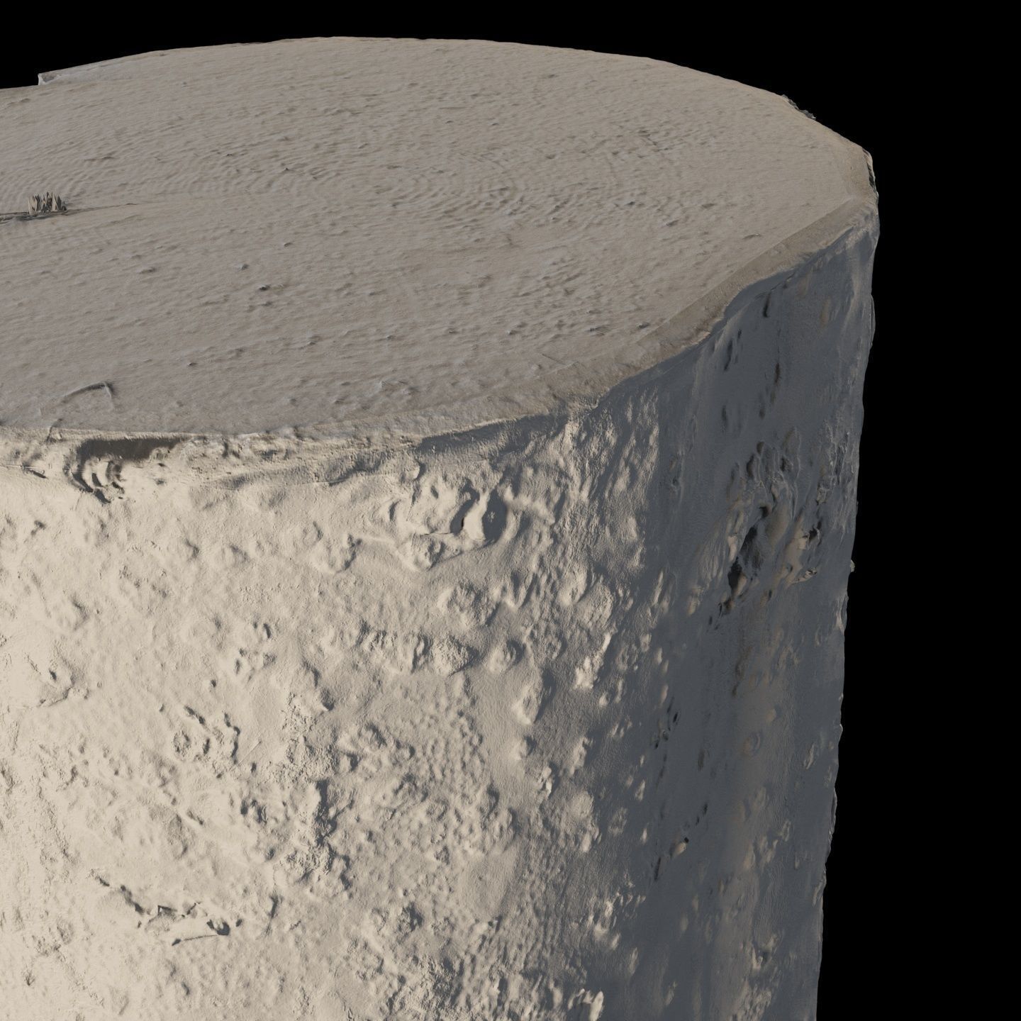 Fir stump for splitting firewood Low-poly 3D model_12