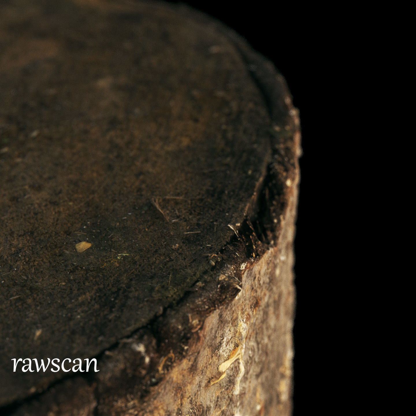 Fir stump for splitting firewood Low-poly 3D model_16