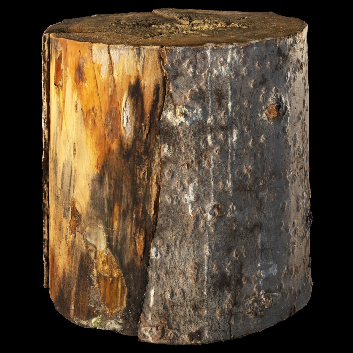 Fir stump for splitting firewood Low-poly 3D model_3