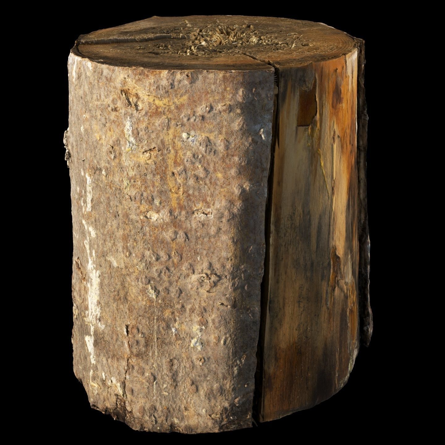 Fir stump for splitting firewood Low-poly 3D model_5