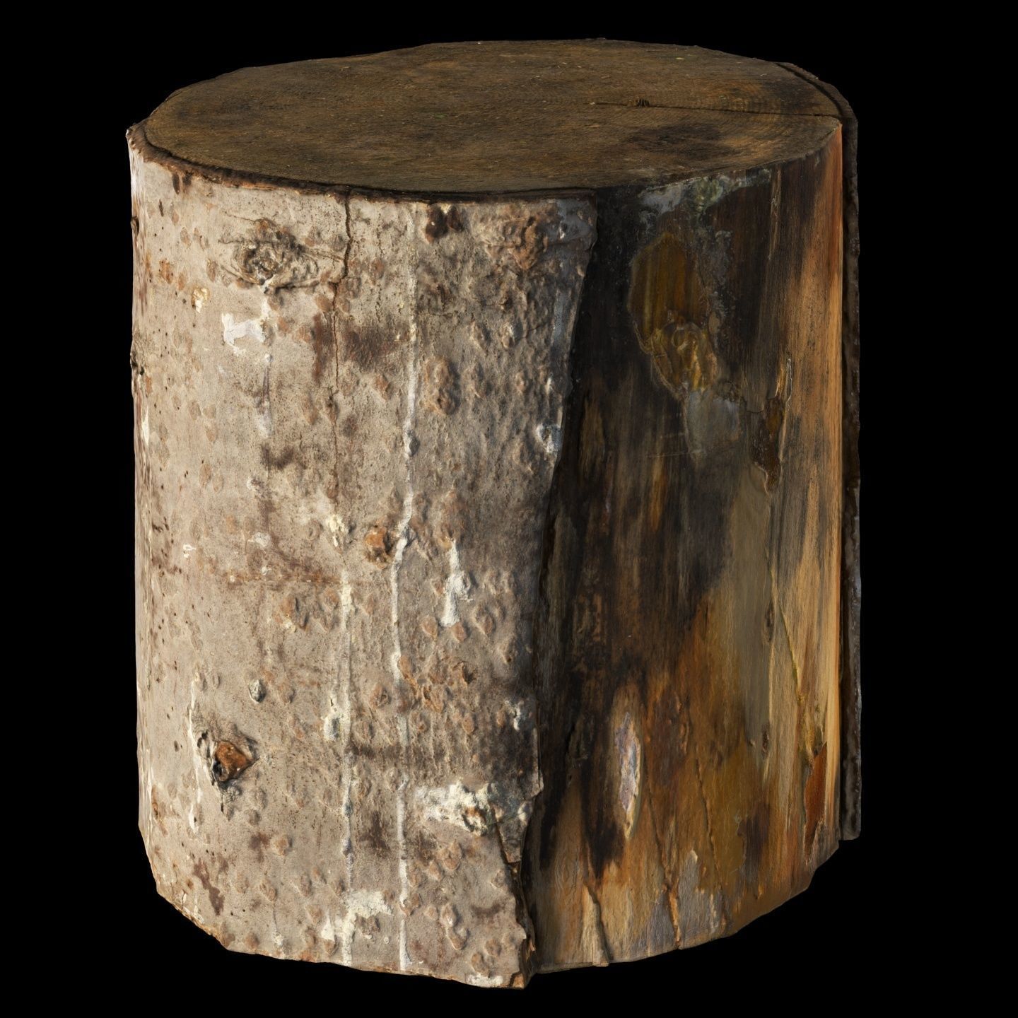Fir stump for splitting firewood Low-poly 3D model_13