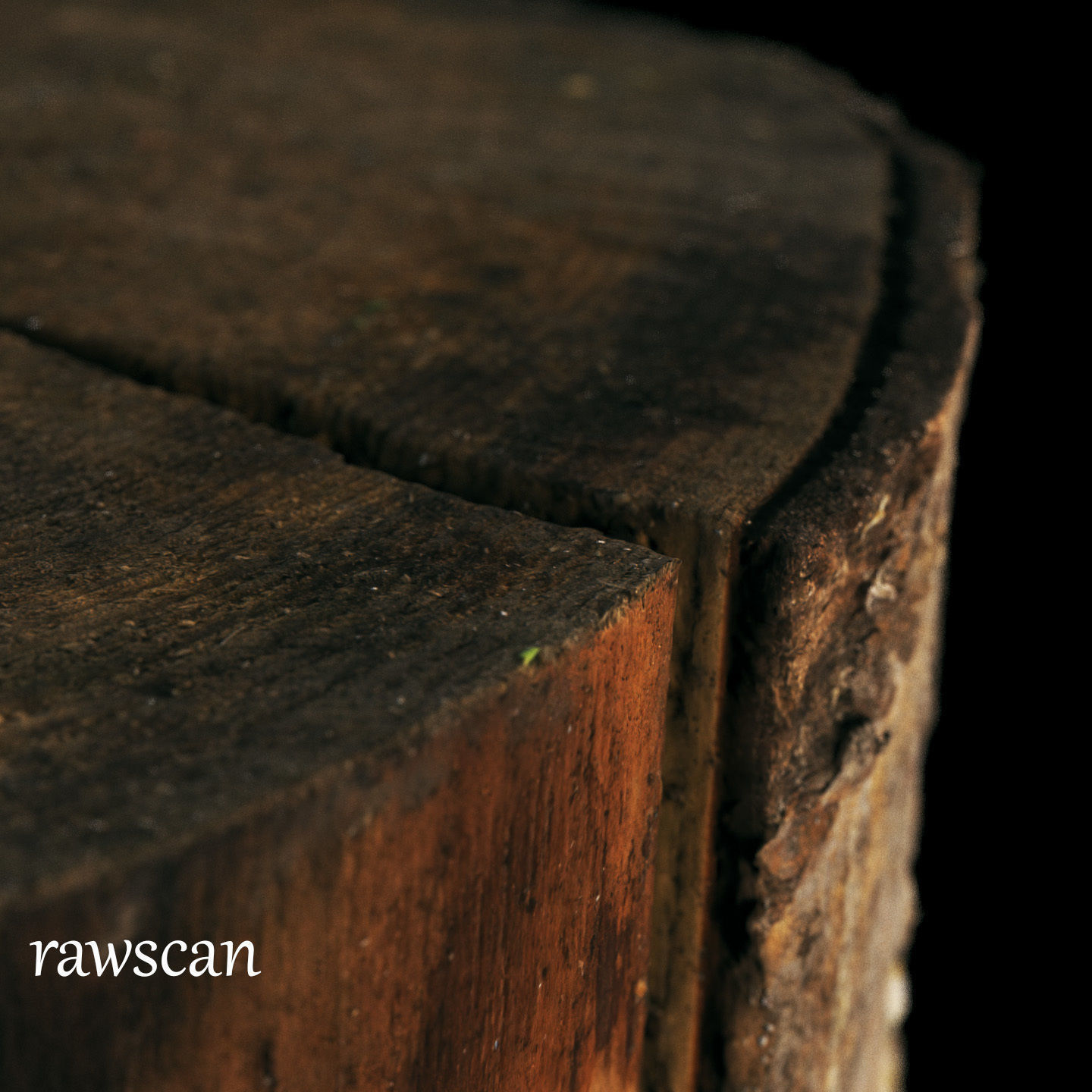 Fir stump for splitting firewood Low-poly 3D model_21