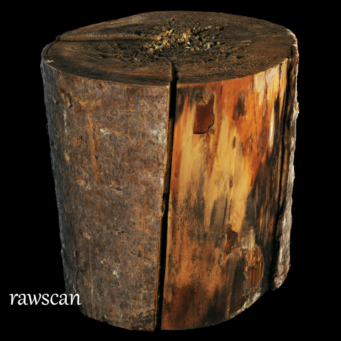 Fir stump for splitting firewood Low-poly 3D model_18