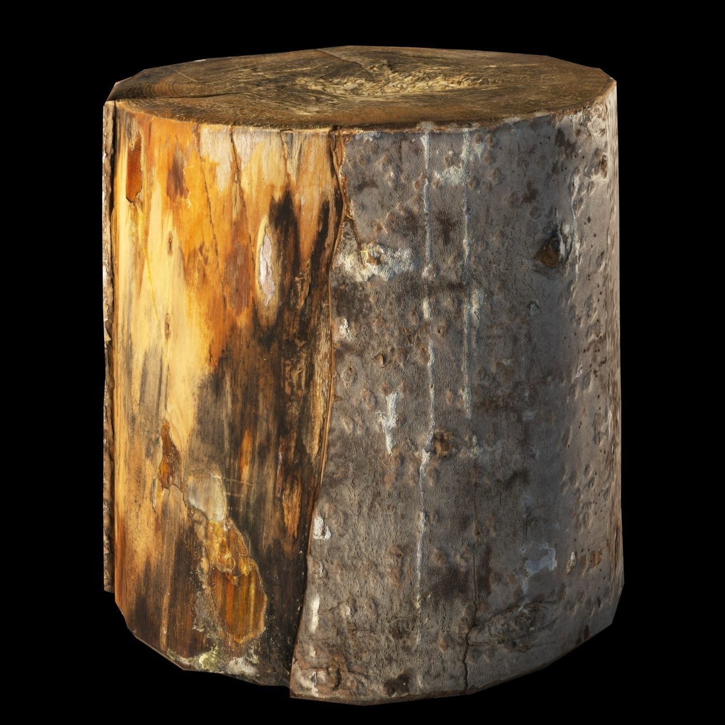 Fir stump for splitting firewood Low-poly 3D model_4