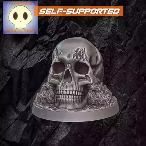 Skull on the Rocks 3D print model