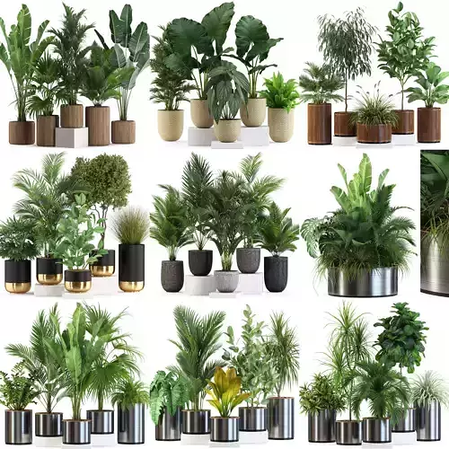 Plants collection vol 07 