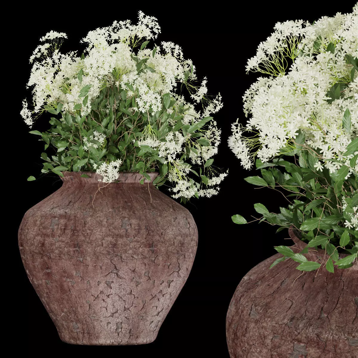 Collection plant vol 175 3D model
