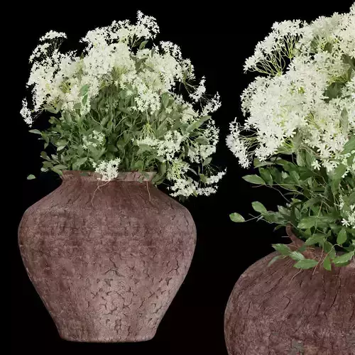 Collection plant vol 175