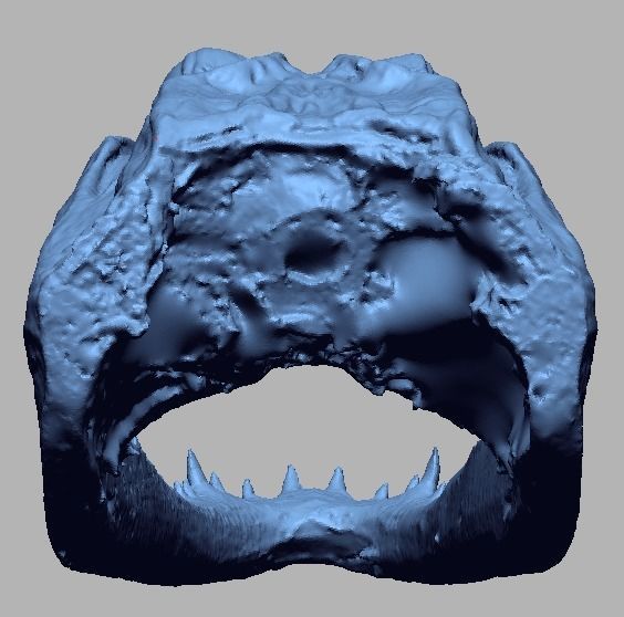 Alligator Head 3D print model_4