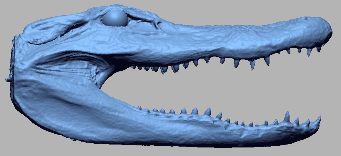 Alligator Head 3D print model_5
