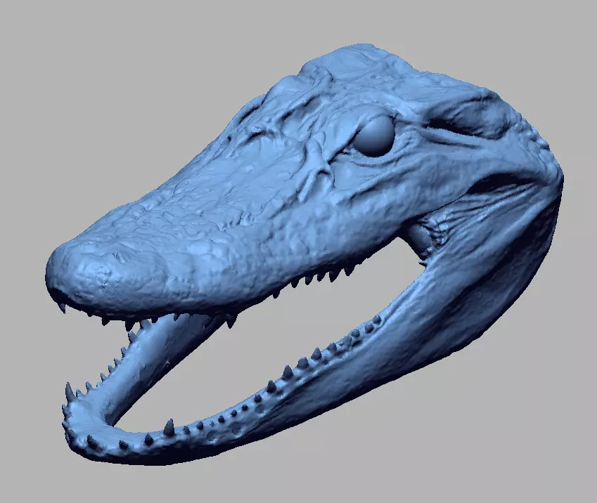 Alligator Head 3D print model_0