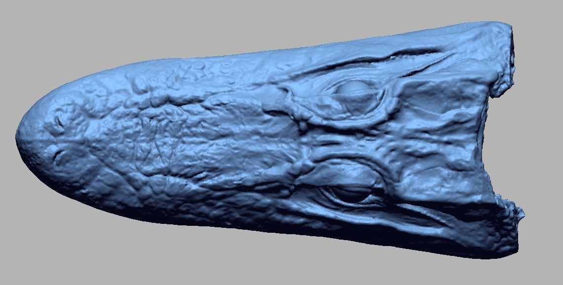 Alligator Head 3D print model_1