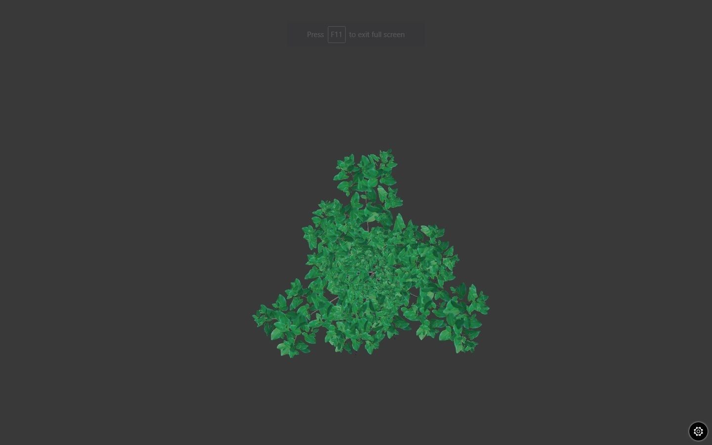 Rizophora Appiculata 3D model_3