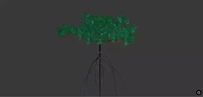 Rizophora Appiculata 3D model