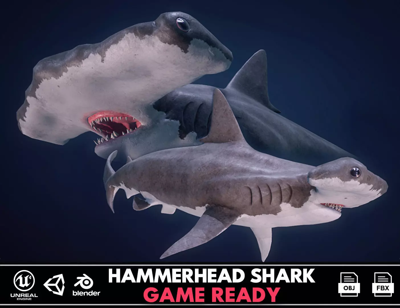 Hammerhead Shark - Game Ready Low-poly 3D model_0