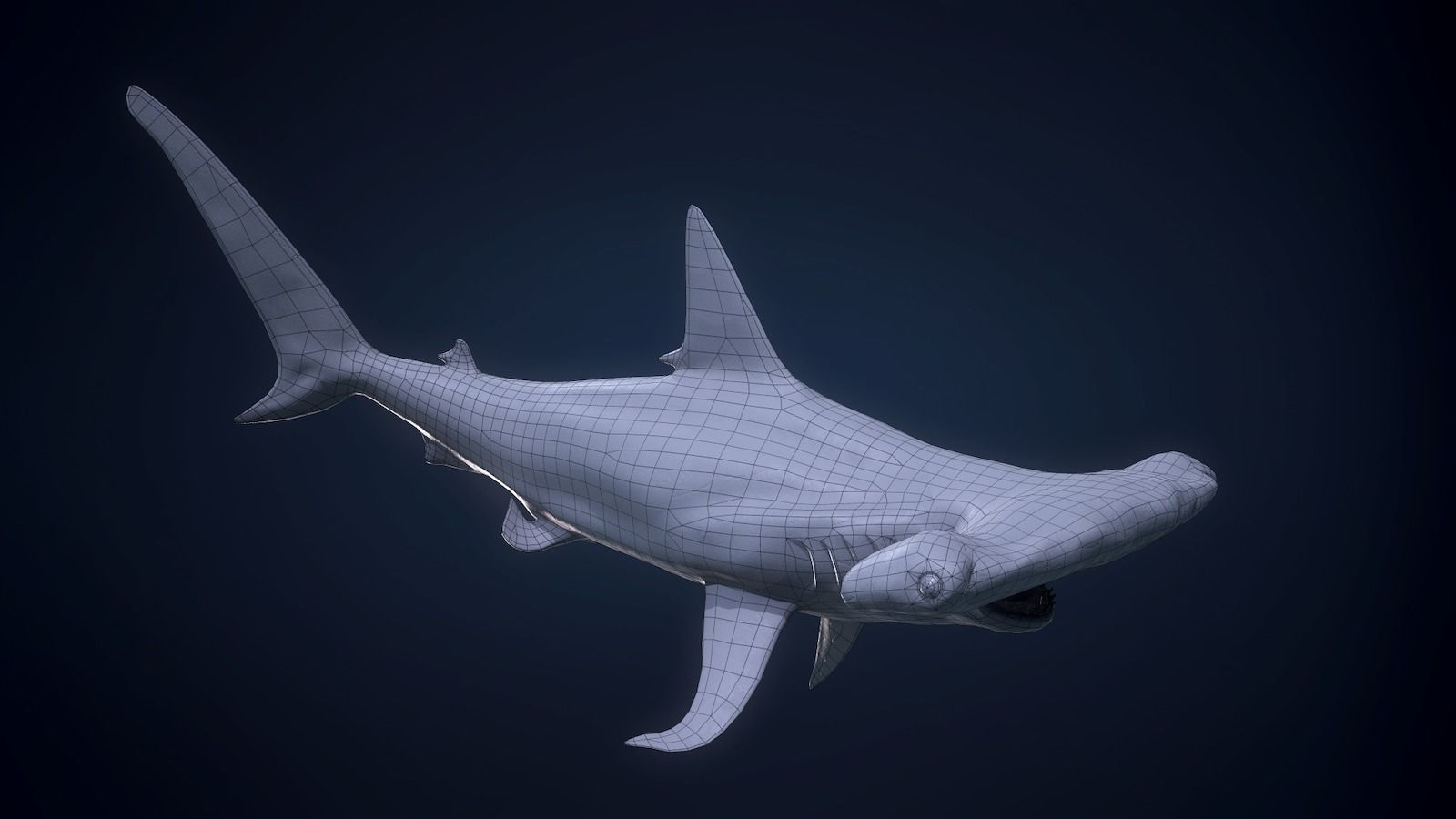 Hammerhead Shark - Game Ready Low-poly 3D model_12