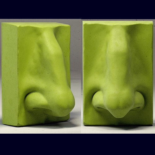 Skull and face parts 3D model_6