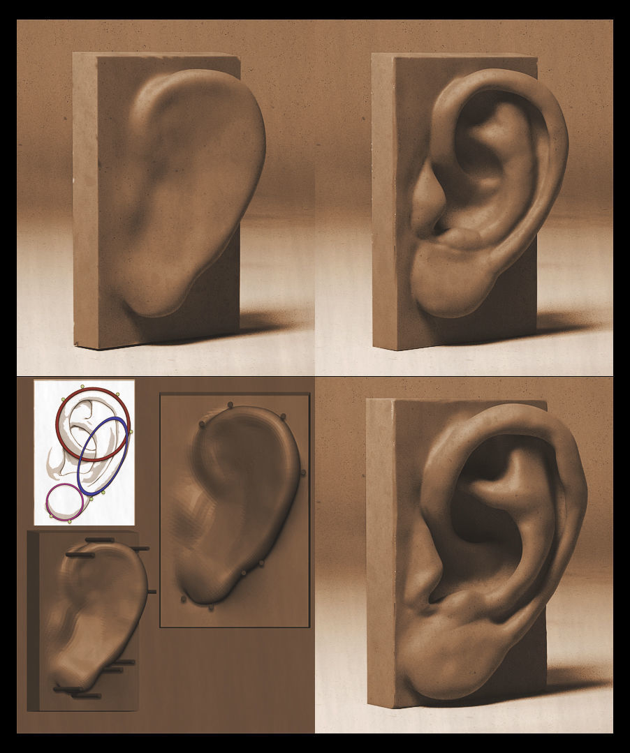 Skull and face parts 3D model_3