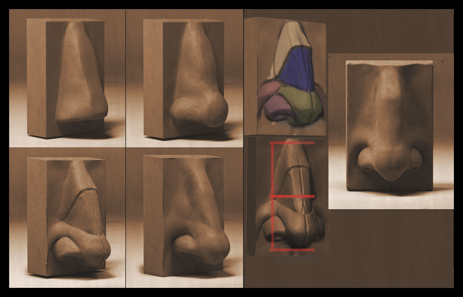 Skull and face parts 3D model_7