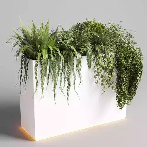   pot grass fern bush palm concrete vase white bax pot