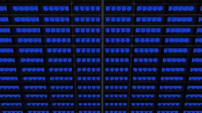 Frontblitzer ceiling of building with lights 3D model