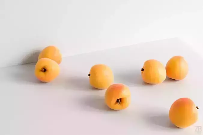 Apricot 3D model