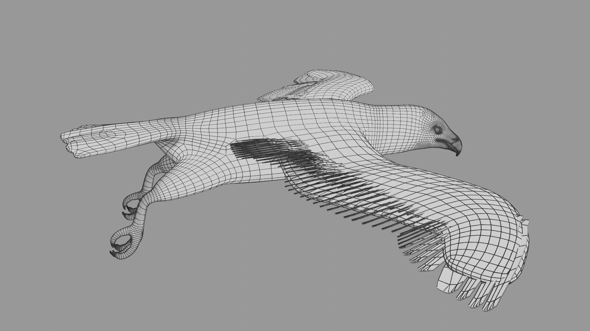 Golden eagle Low-poly 3D model_6