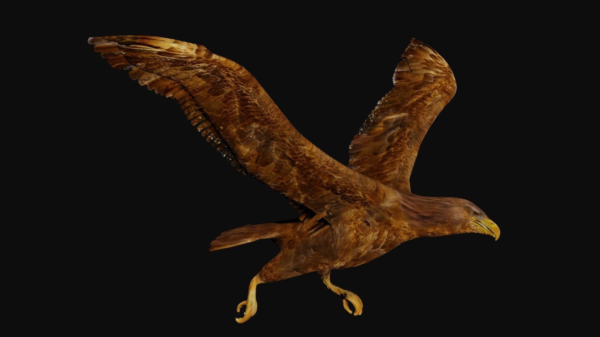 Golden eagle Low-poly 3D model_2