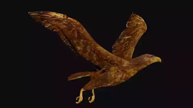 Golden eagle Low-poly 3D model