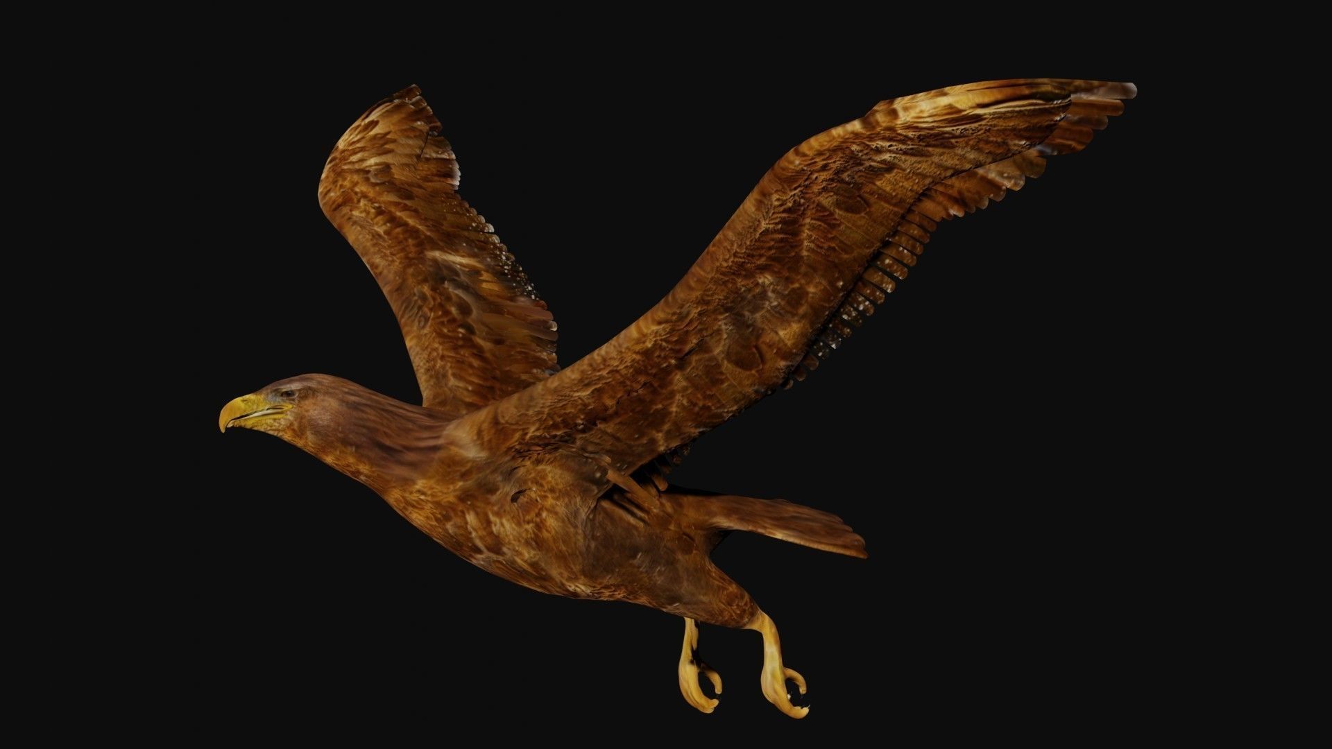 Golden eagle Low-poly 3D model_3