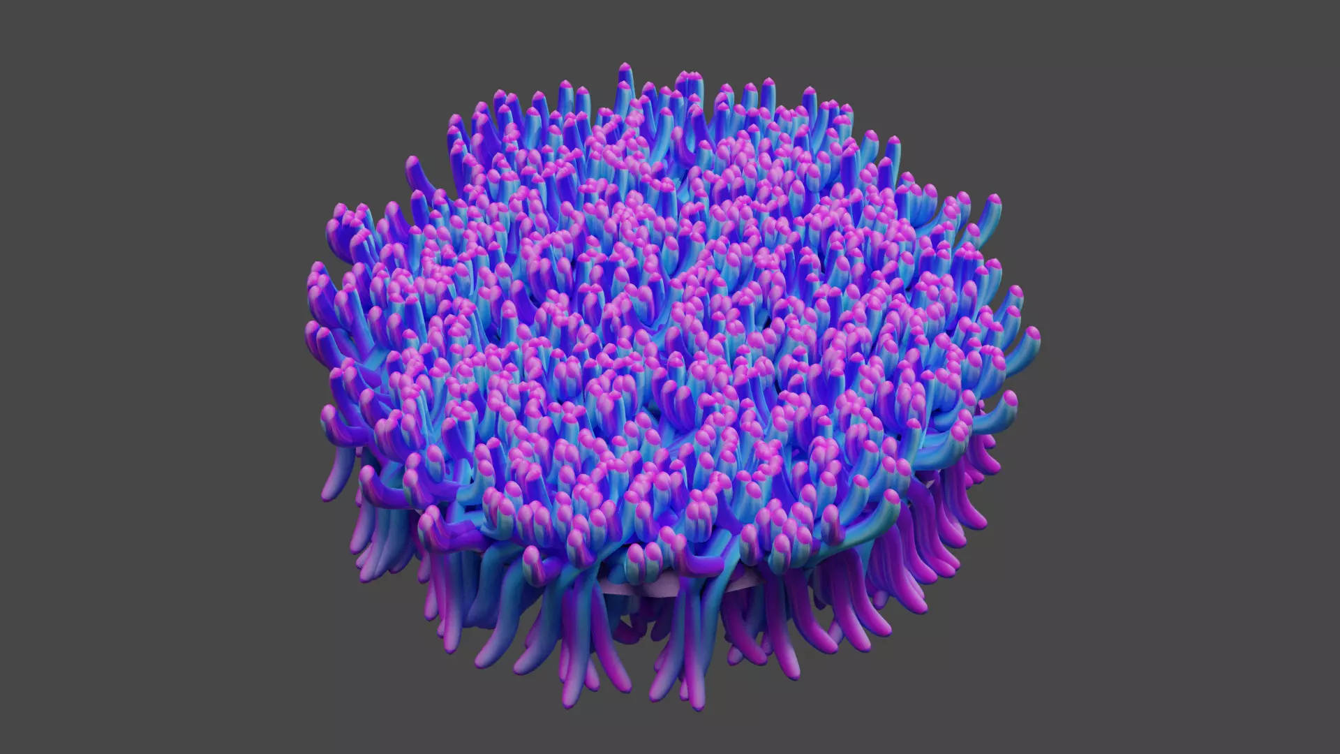 Coral Reef 3D model_0