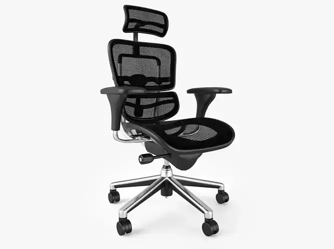 Raynor Ergohuman Chair