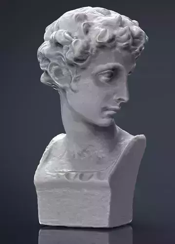 BUST of person