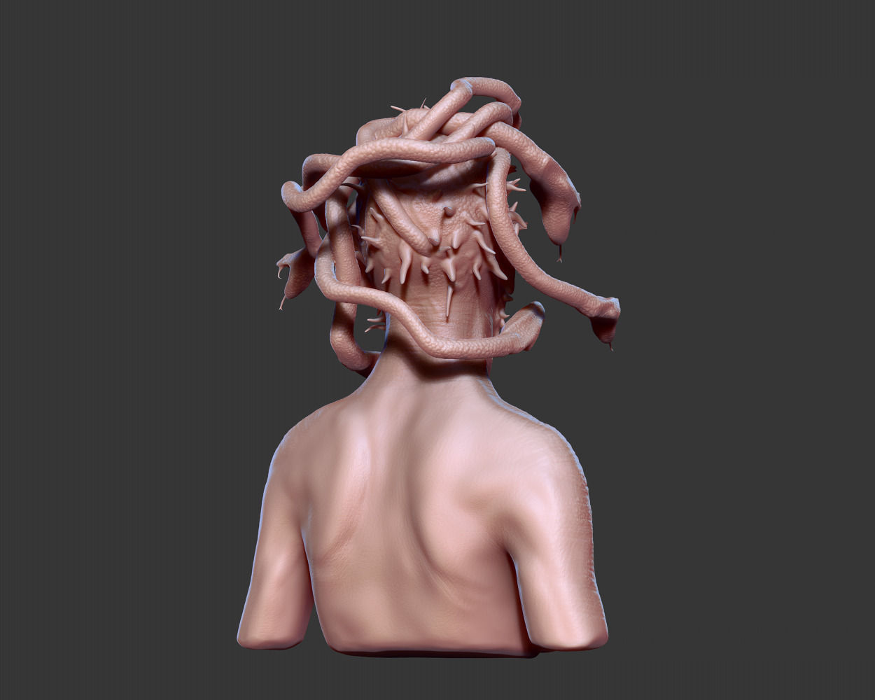 Medusa Bust 3D model_5
