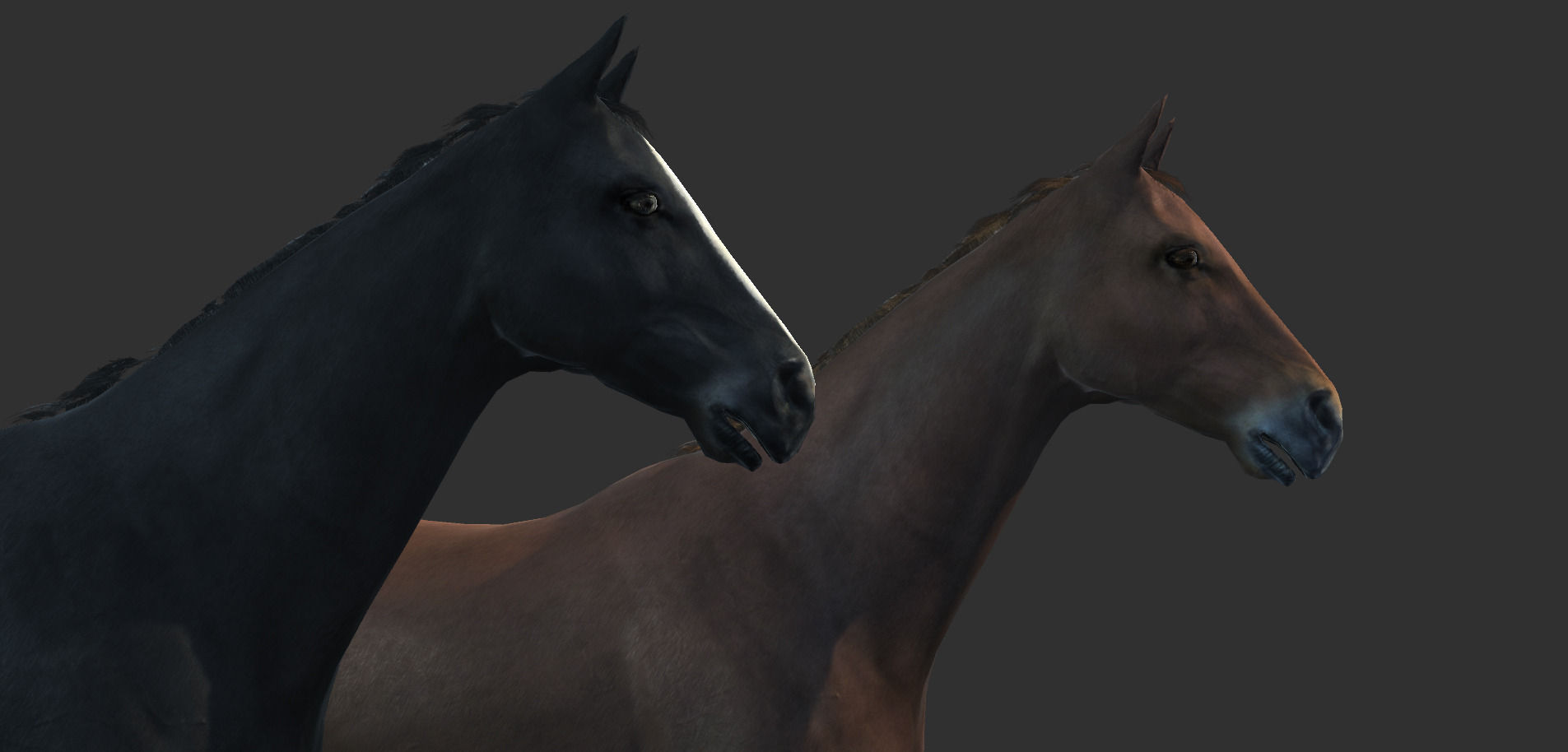 Horse Rigged Animated and Textured Low-poly 3D model_14