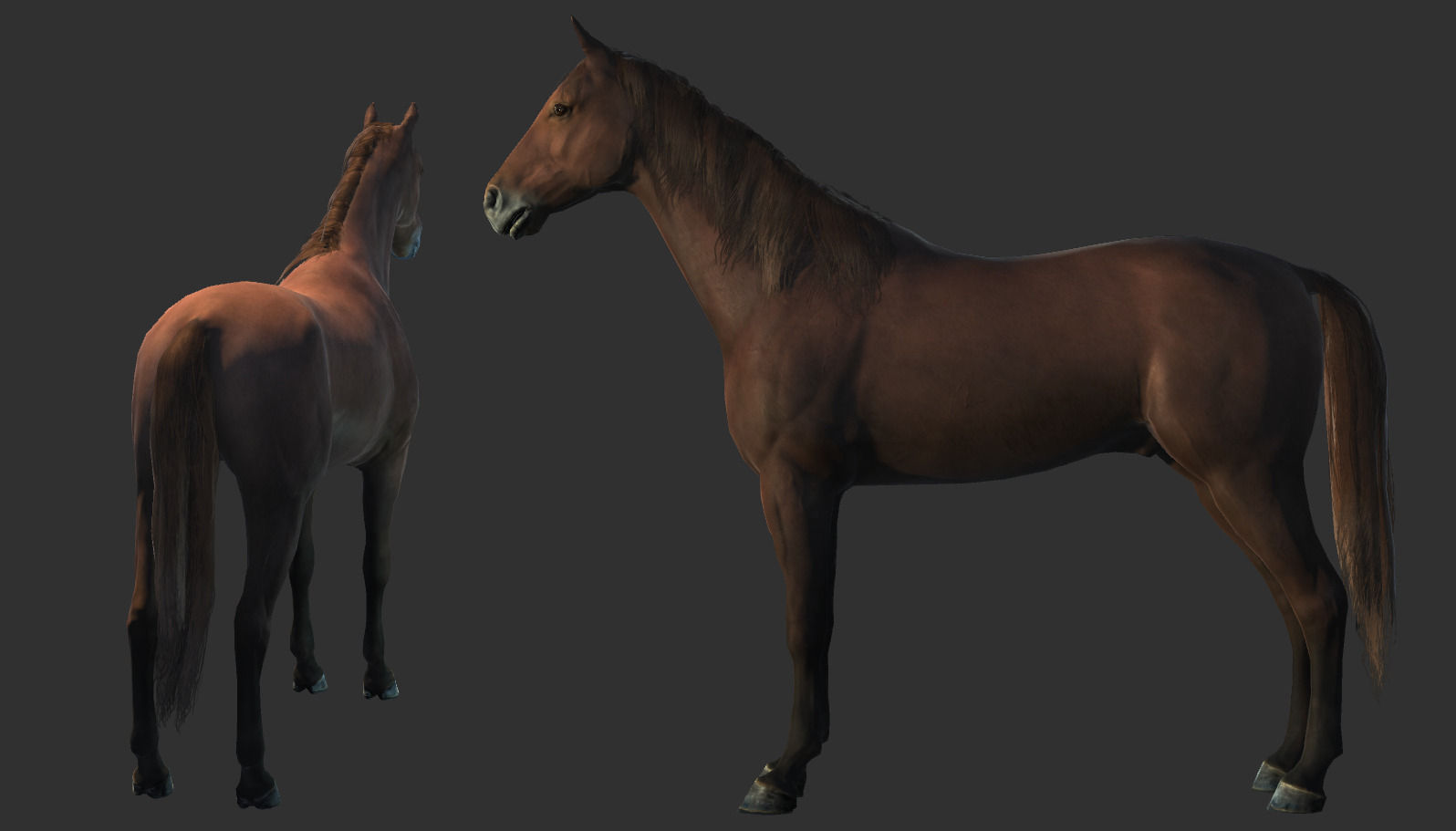 Horse Rigged Animated and Textured Low-poly 3D model_18