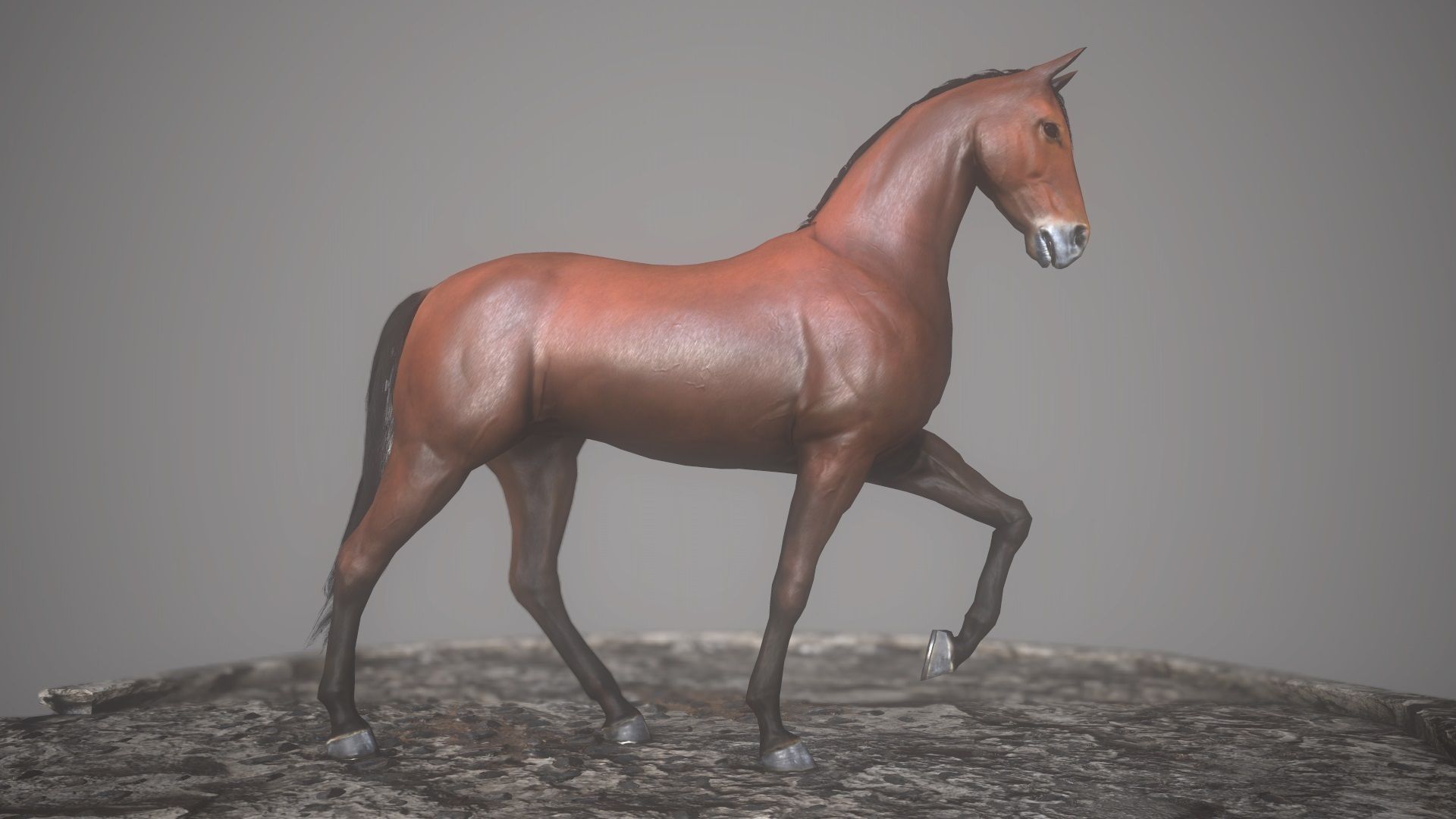 Horse Rigged Animated and Textured Low-poly 3D model_13