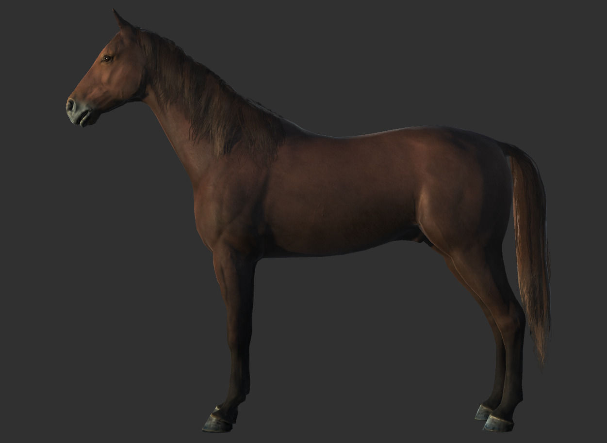 Horse Rigged Animated and Textured Low-poly 3D model_15