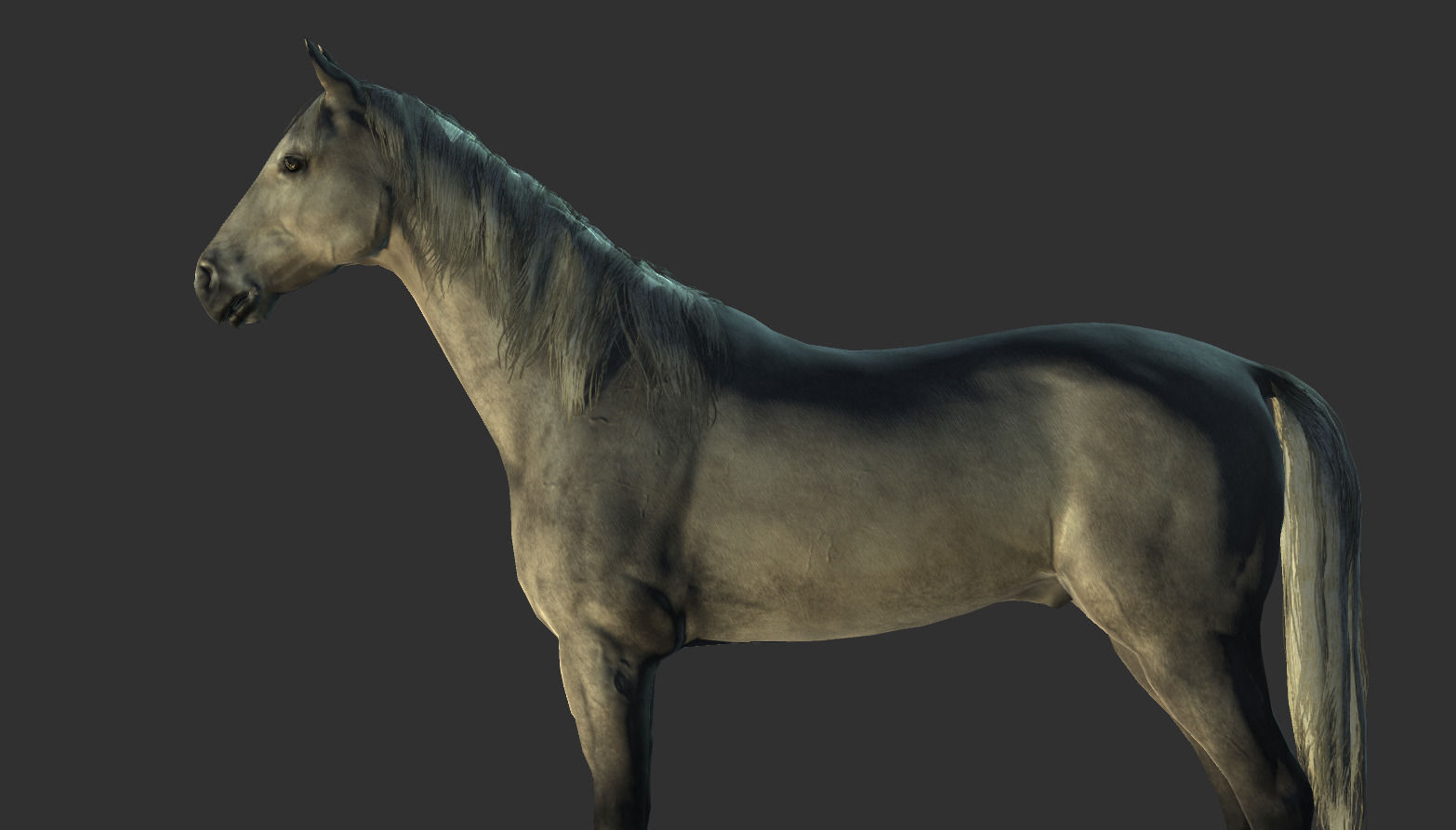 Horse Rigged Animated and Textured Low-poly 3D model_17