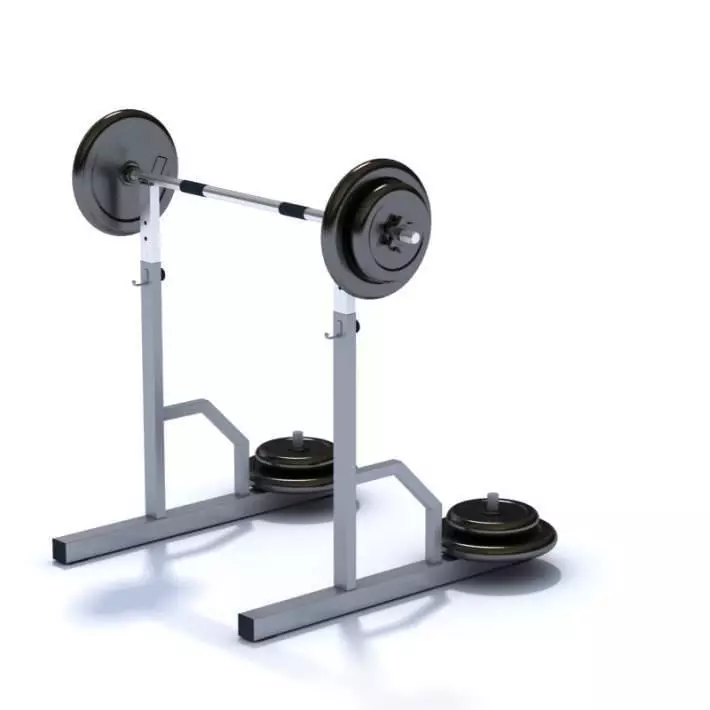 Barbel And Weights 3D model_0