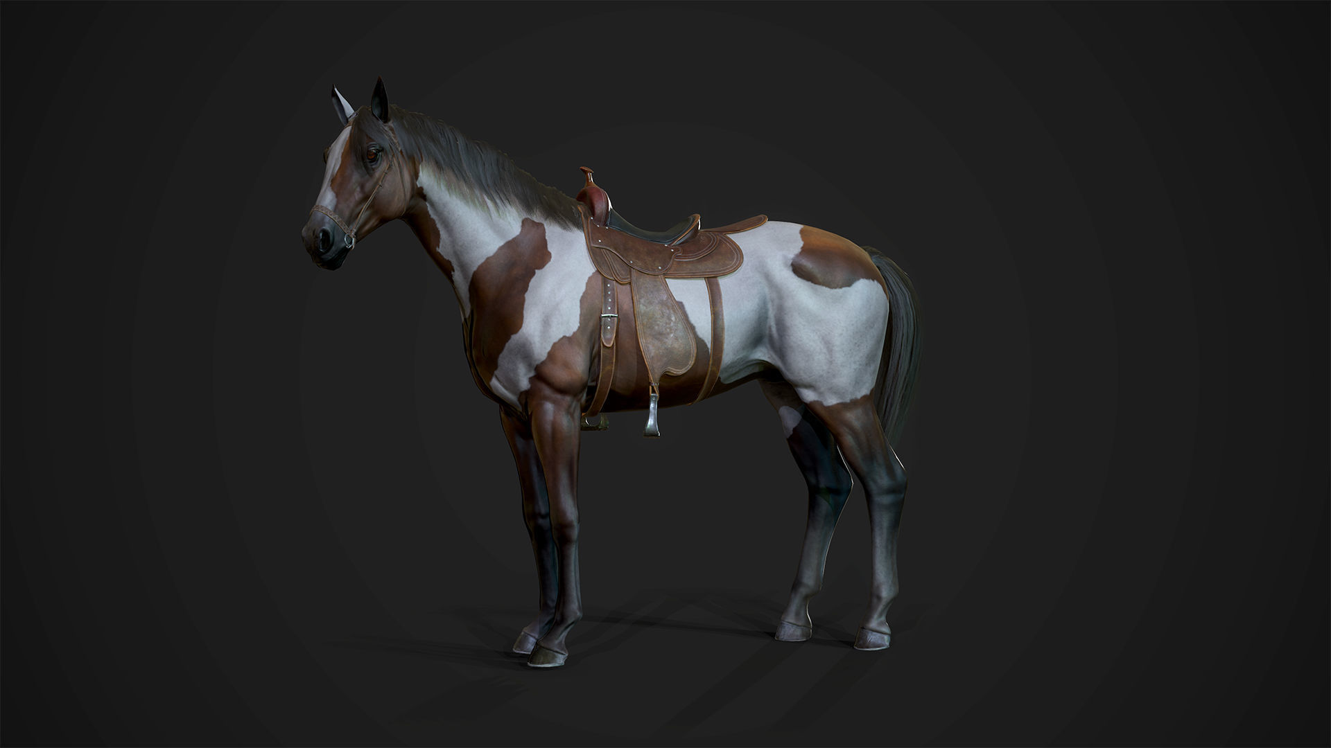 Stallions - Game Ready horse Low-poly 3D model_3