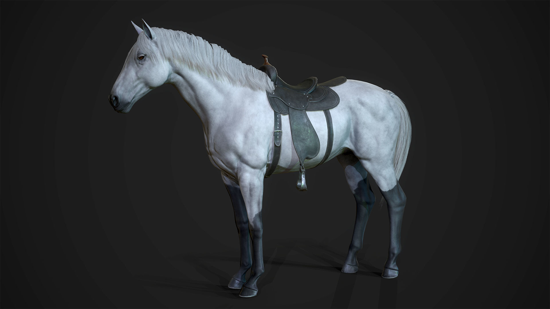 Stallions - Game Ready horse Low-poly 3D model_7