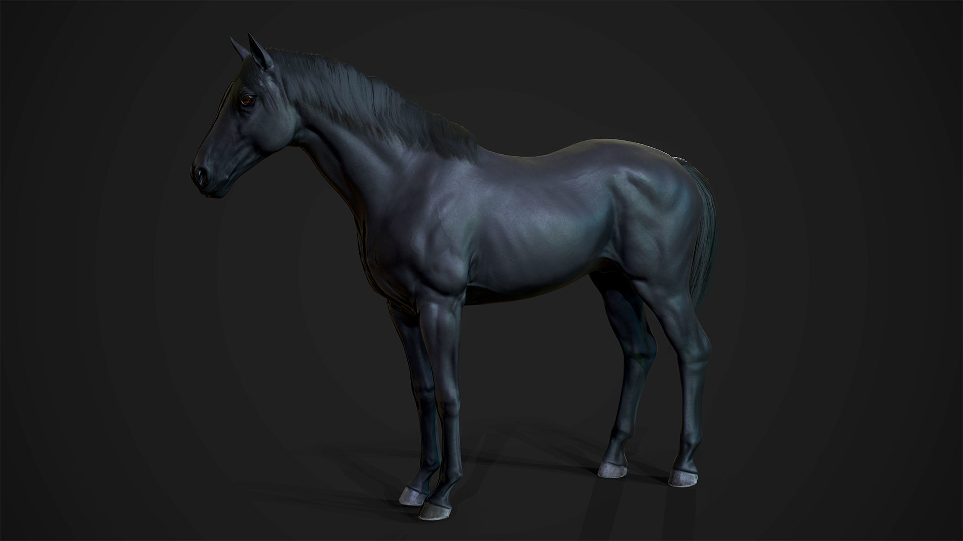 Stallions - Game Ready horse Low-poly 3D model_9