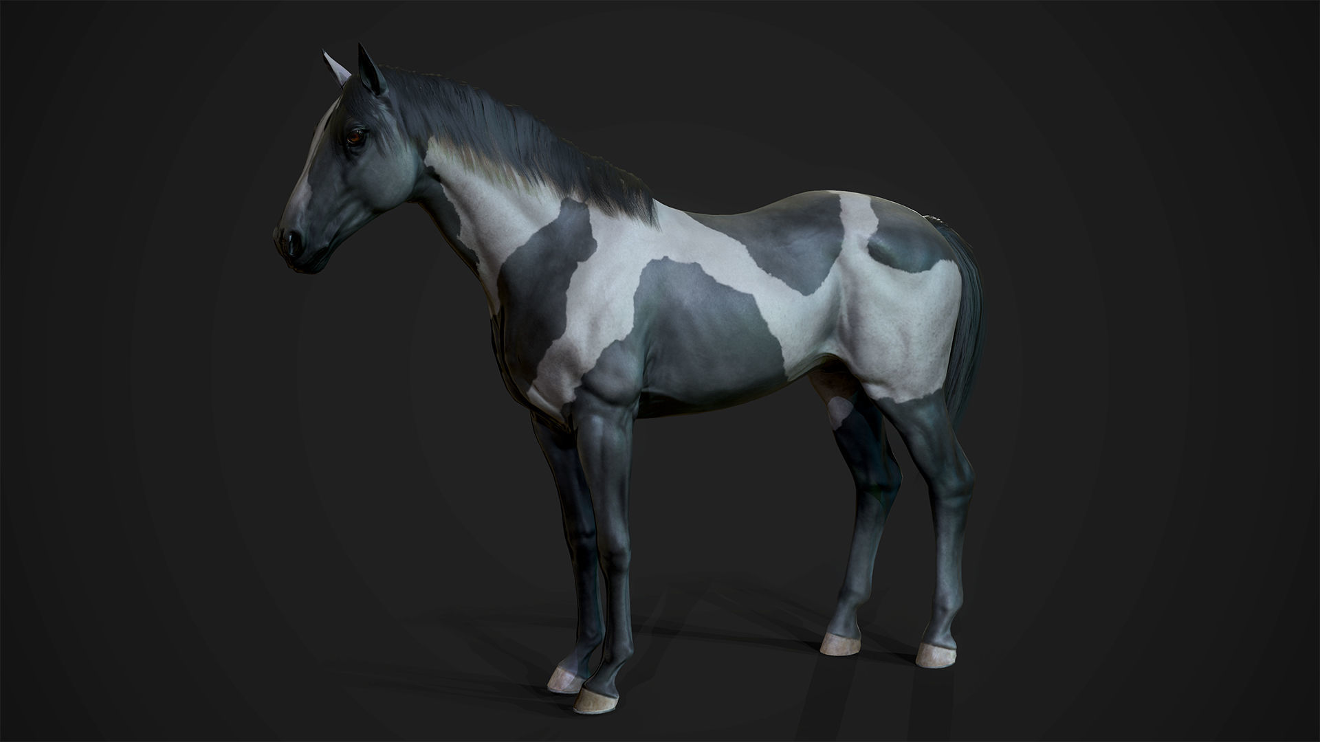 Stallions - Game Ready horse Low-poly 3D model_10