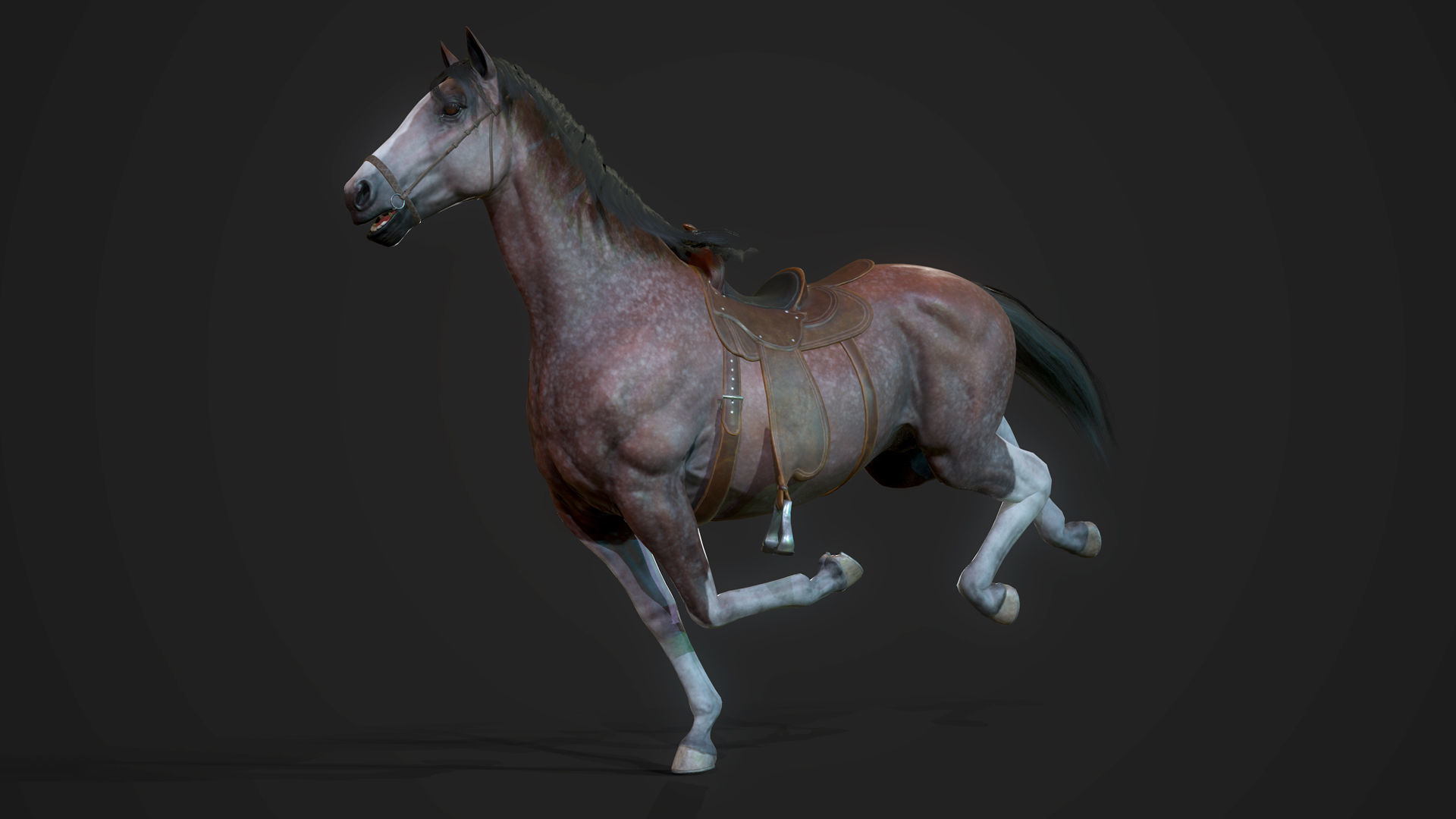 Stallions - Game Ready horse Low-poly 3D model_5