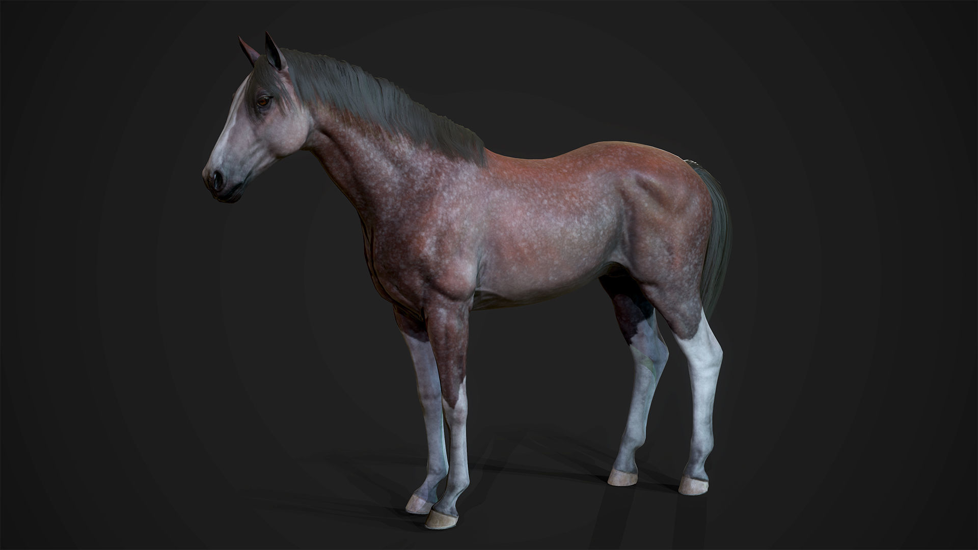 Stallions - Game Ready horse Low-poly 3D model_4