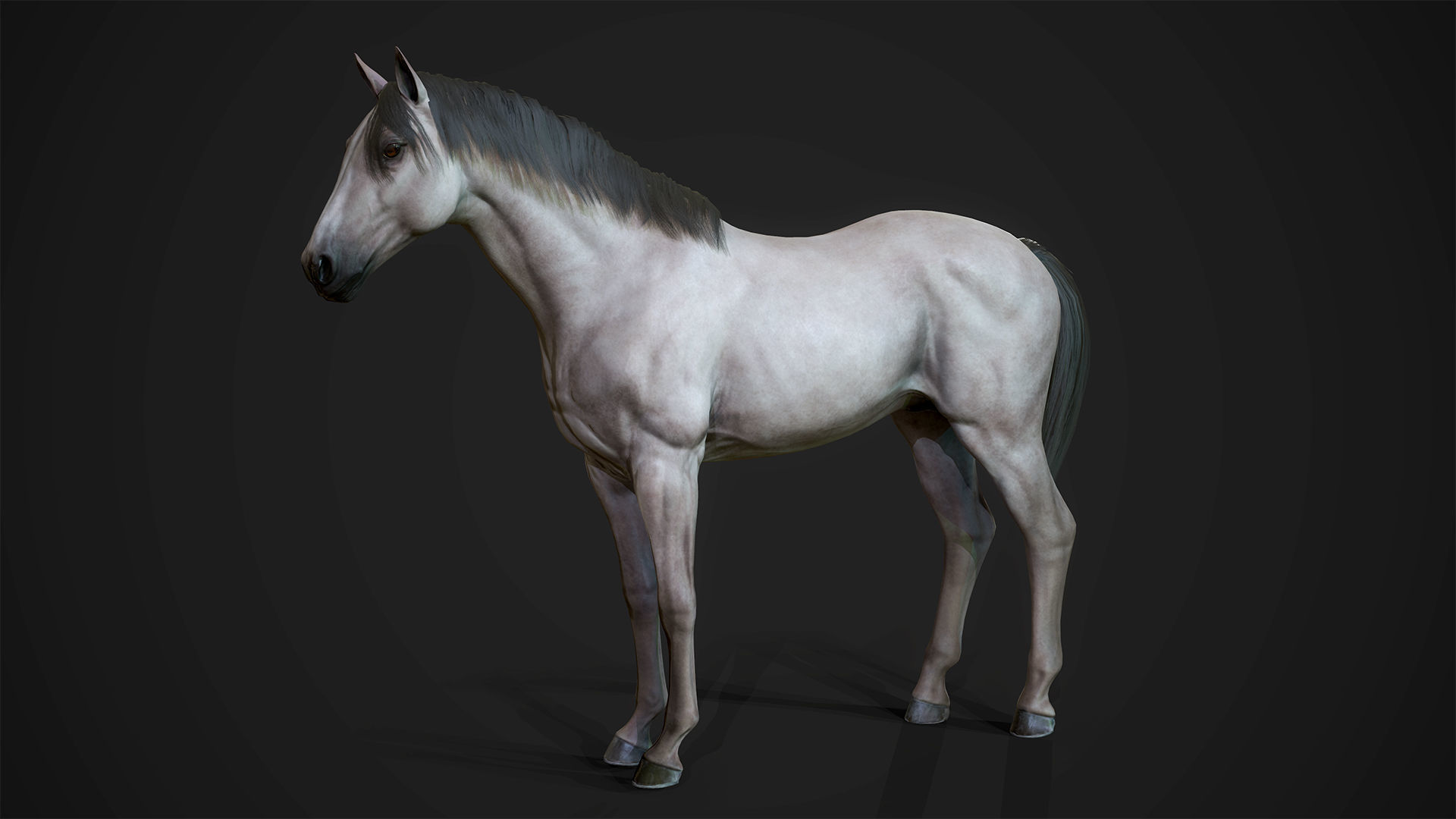 Stallions - Game Ready horse Low-poly 3D model_12