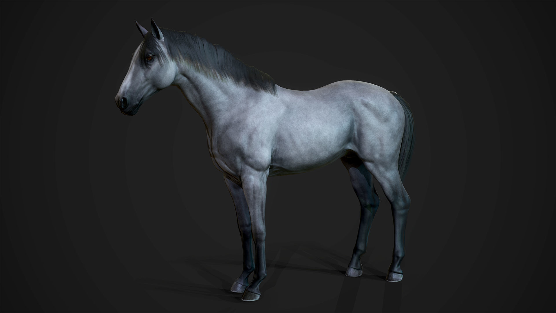 Stallions - Game Ready horse Low-poly 3D model_8