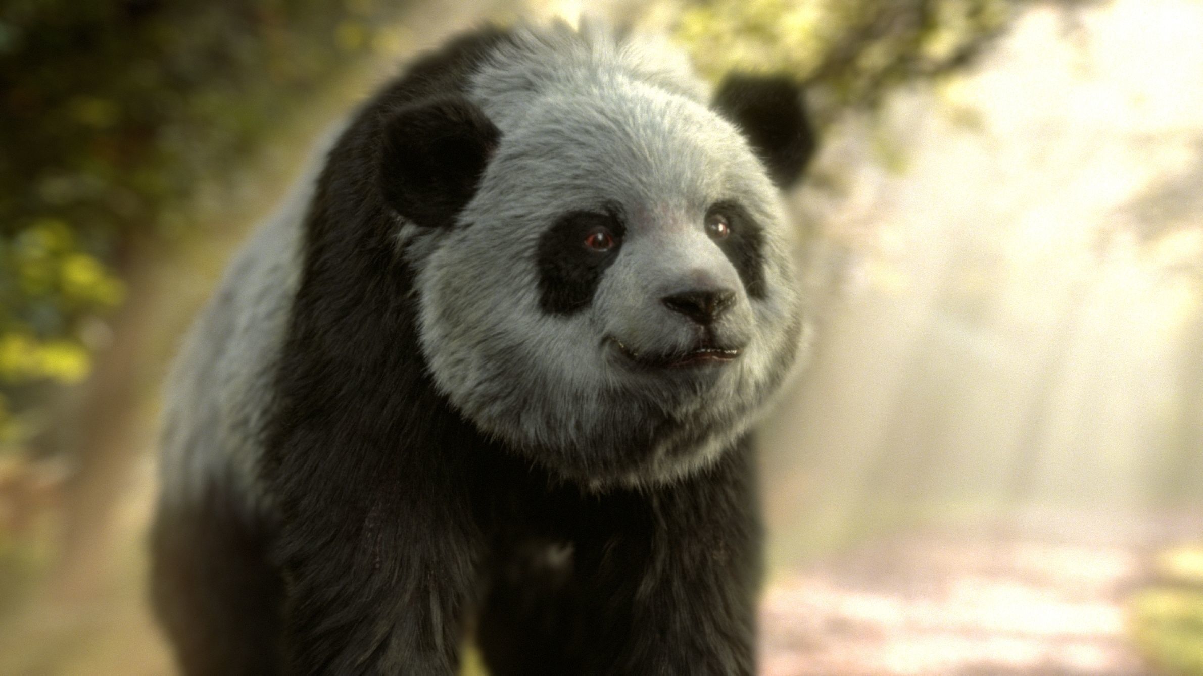 Giant Panda RIGGED 3D model_11