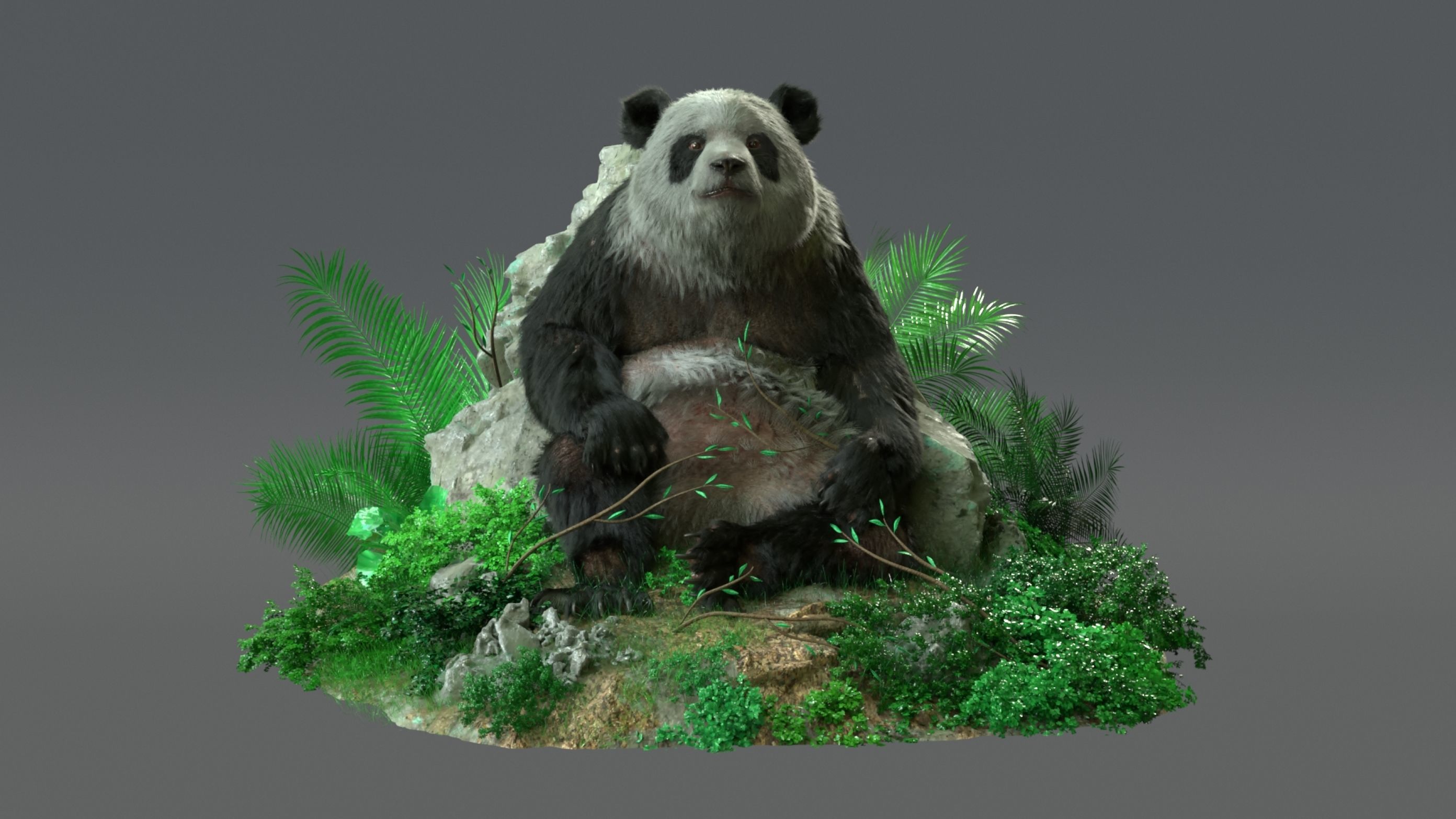 Giant Panda RIGGED 3D model_10